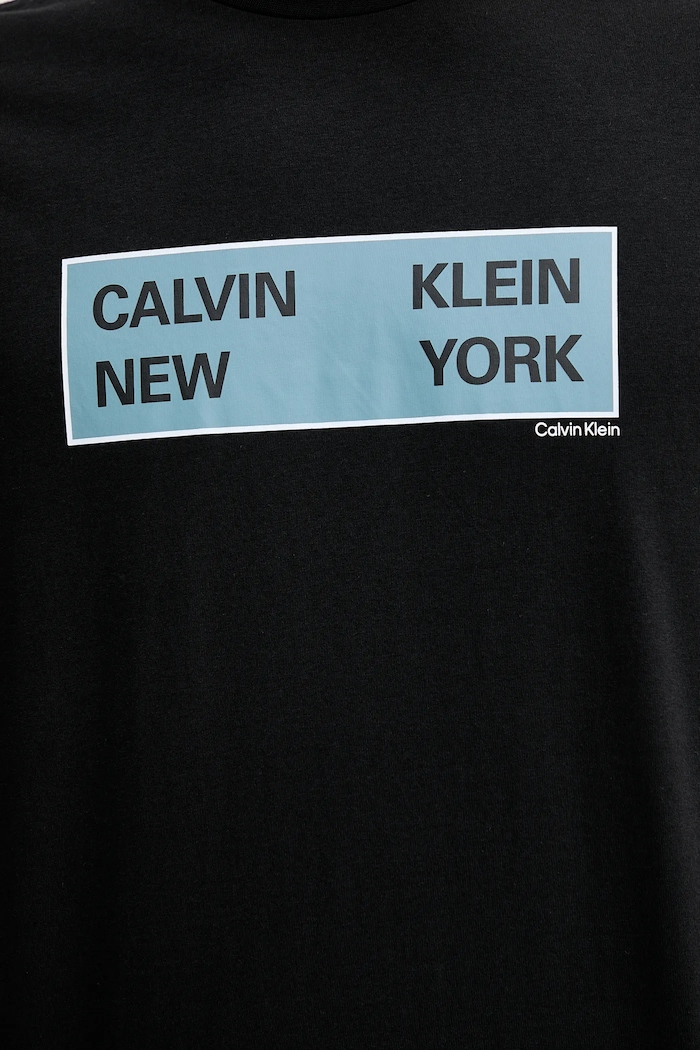 Pamučna majica Calvin Klein Jeans LV04RD816G crna