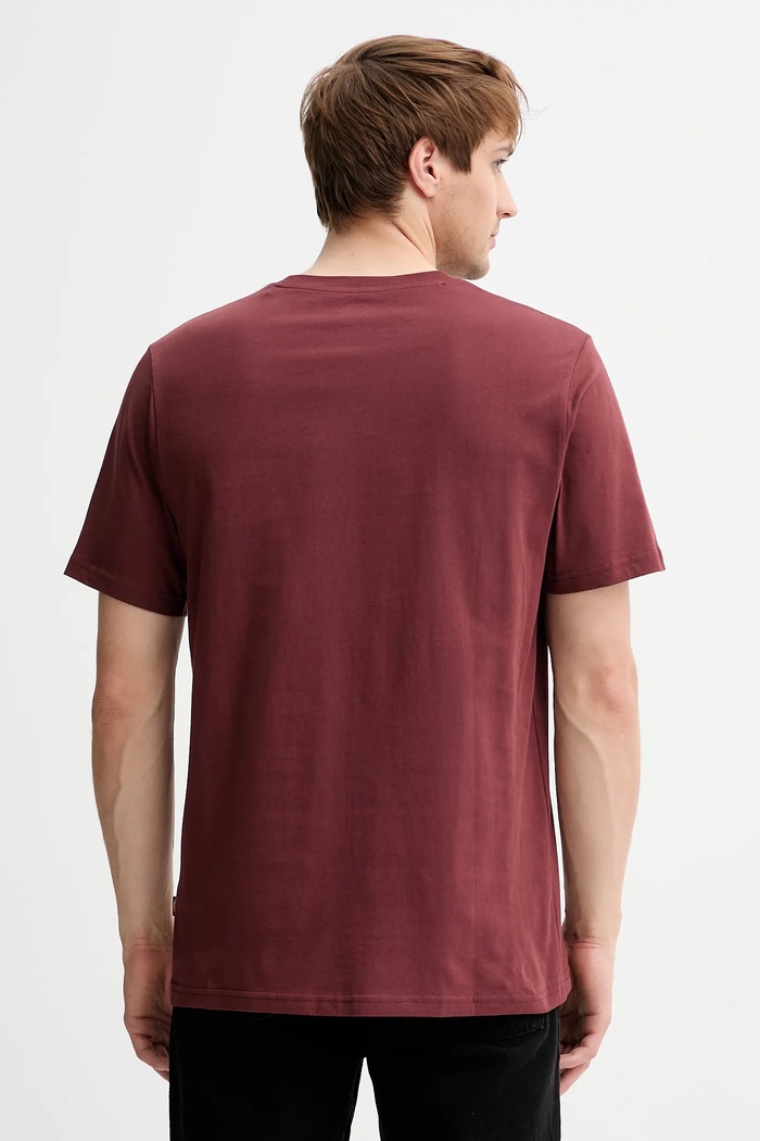 Oblečenie Bavlnené tričko Dickies DK0A4XDB. červená