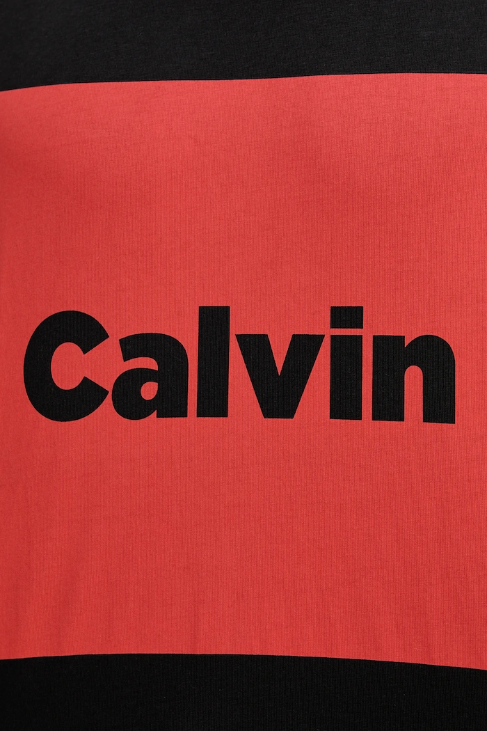 Bavlnené tričko Calvin Klein Jeans LV04RD813G čierna