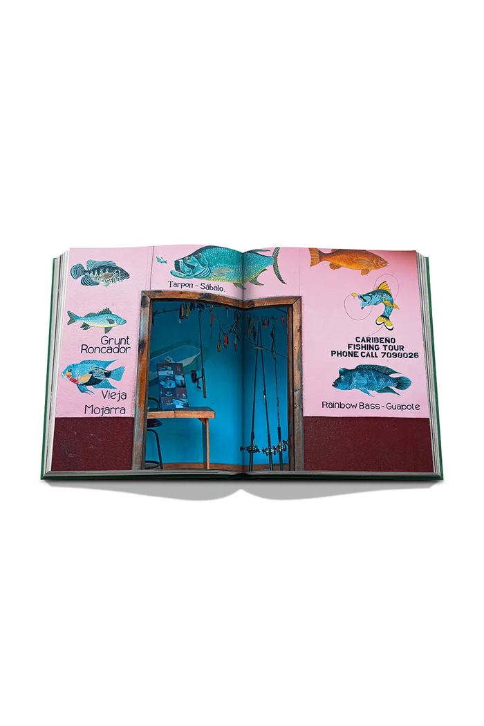 Assouline Książka Costa Rica Vida, Lale Arikoglu 9781649806758