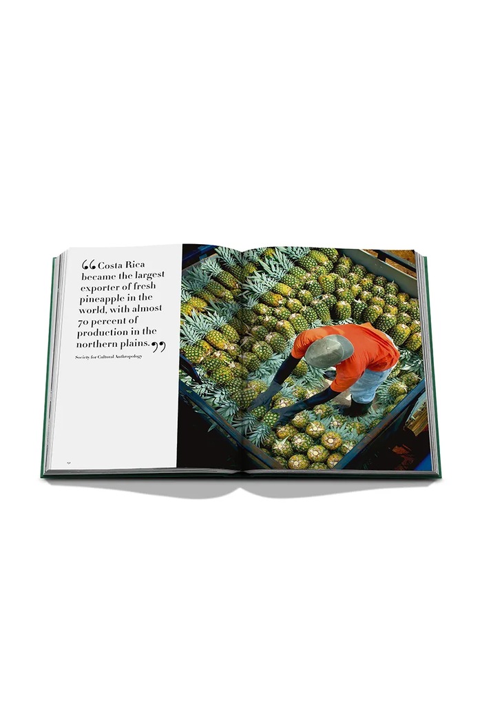 Assouline Książka Costa Rica Vida, Lale Arikoglu 9781649806758