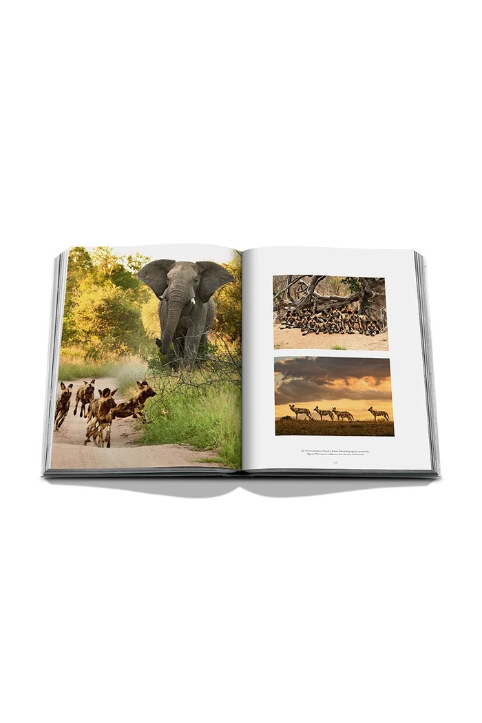Assouline Książka Londolozi: The Safari that Changed Everything, Hailey Wist 9781649806000