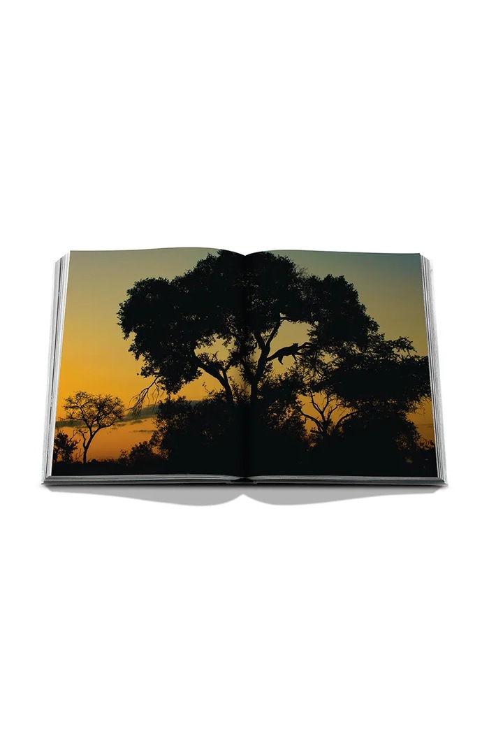 Książka Londolozi: The Safari that Changed Everything, Hailey Wist Assouline 9781649806000 multicolor