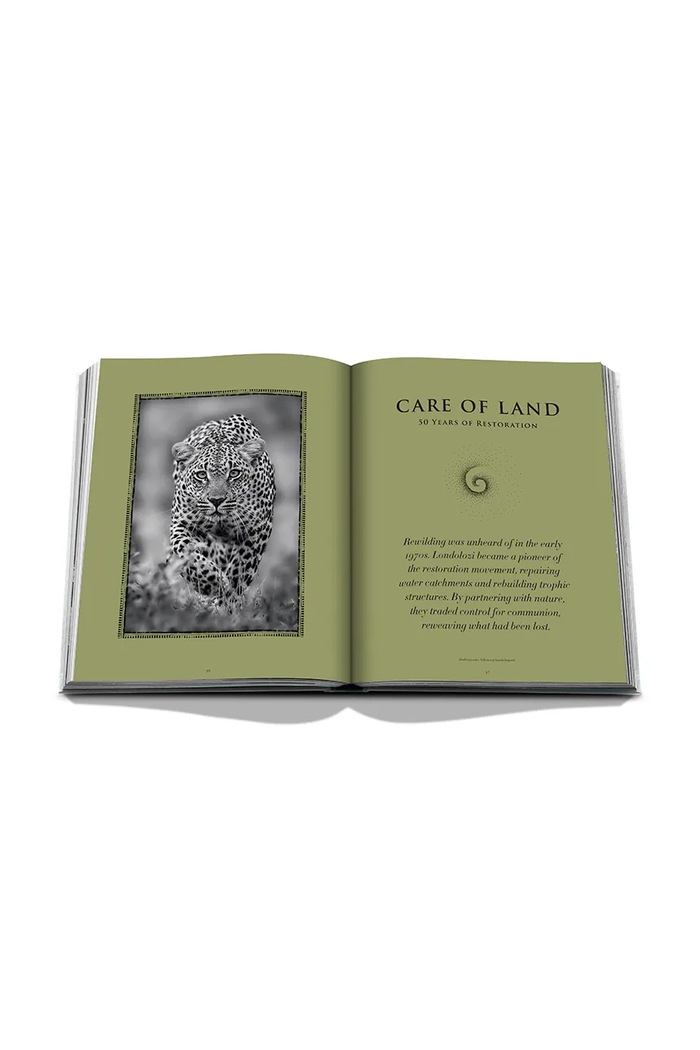 Assouline Książka Londolozi: The Safari that Changed Everything, Hailey Wist 9781649806000