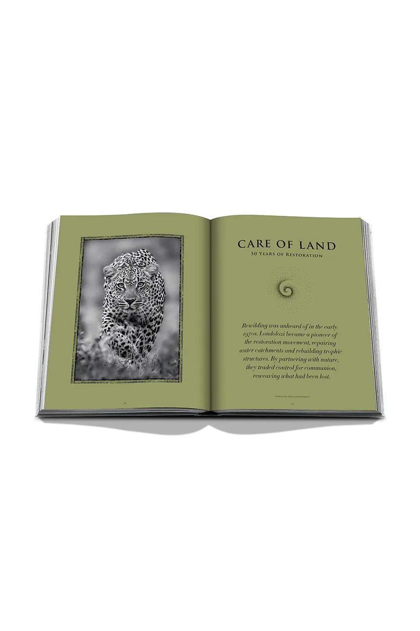 Assouline Książka Londolozi: The Safari that Changed Everything, Hailey Wist 9781649806000