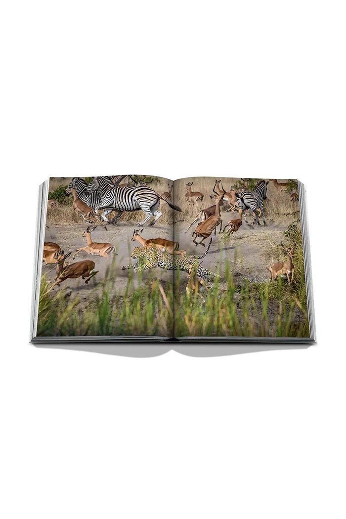 Assouline Książka Londolozi: The Safari that Changed Everything, Hailey Wist 9781649806000