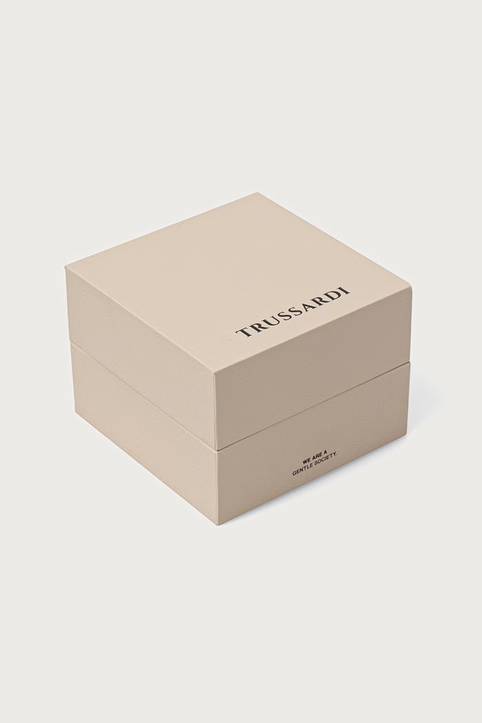 Zegarek damski Trussardi R2453175504 srebrny