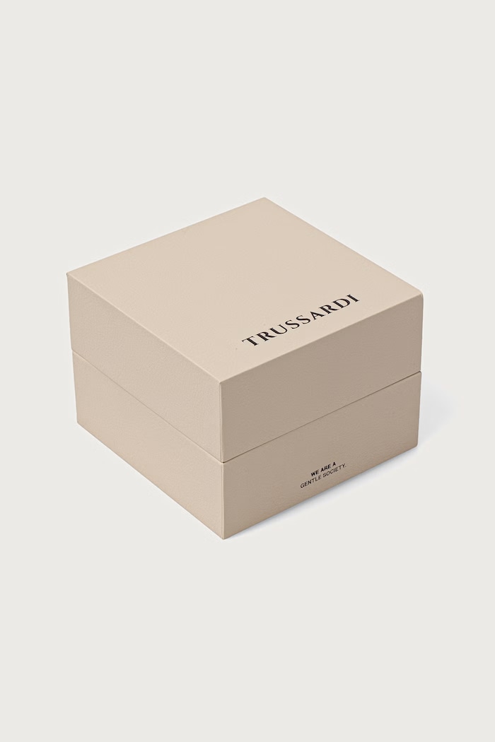 Zegarek damski Trussardi R2453175504 srebrny