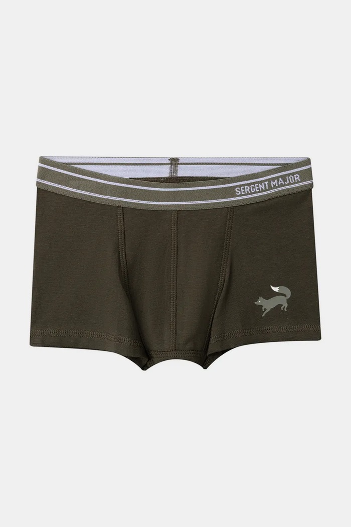 Bokserki dziecięce bawełniane z elastanem 3-pack Sergent Major szary 26H5PGD2BOX.128.146