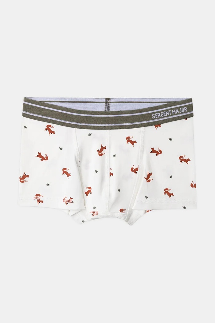 Chłopiec Sergent Major Bokserki dziecięce bawełniane z elastanem 3-pack 26H5PGD2BOX.110.122 szary