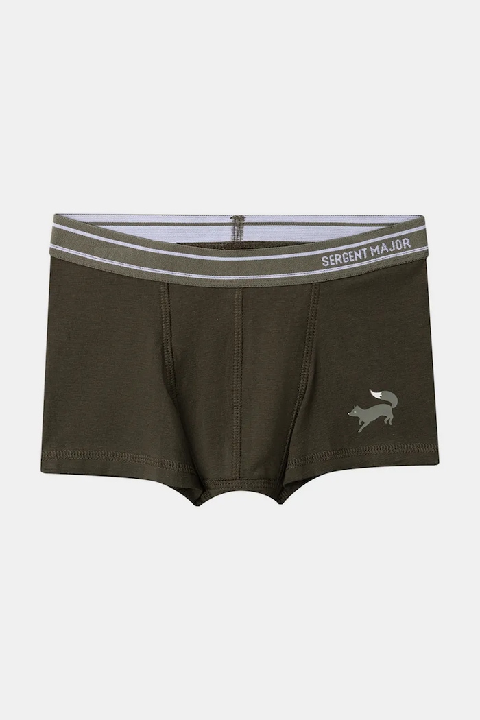 Bokserki dziecięce bawełniane z elastanem 3-pack Sergent Major szary 26H5PGD2BOX.110.122