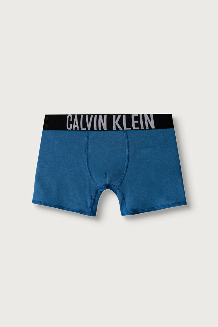 Chłopiec Calvin Klein Underwear Bokserki dopasowane dziecięce bawełniane z elastanem 3-pack B70B700510.9BY2 niebieski