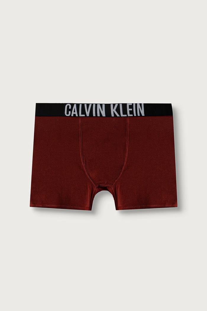 Bokserki dopasowane dziecięce bawełniane z elastanem 3-pack Calvin Klein Underwear B70B700510.9BY2 niebieski