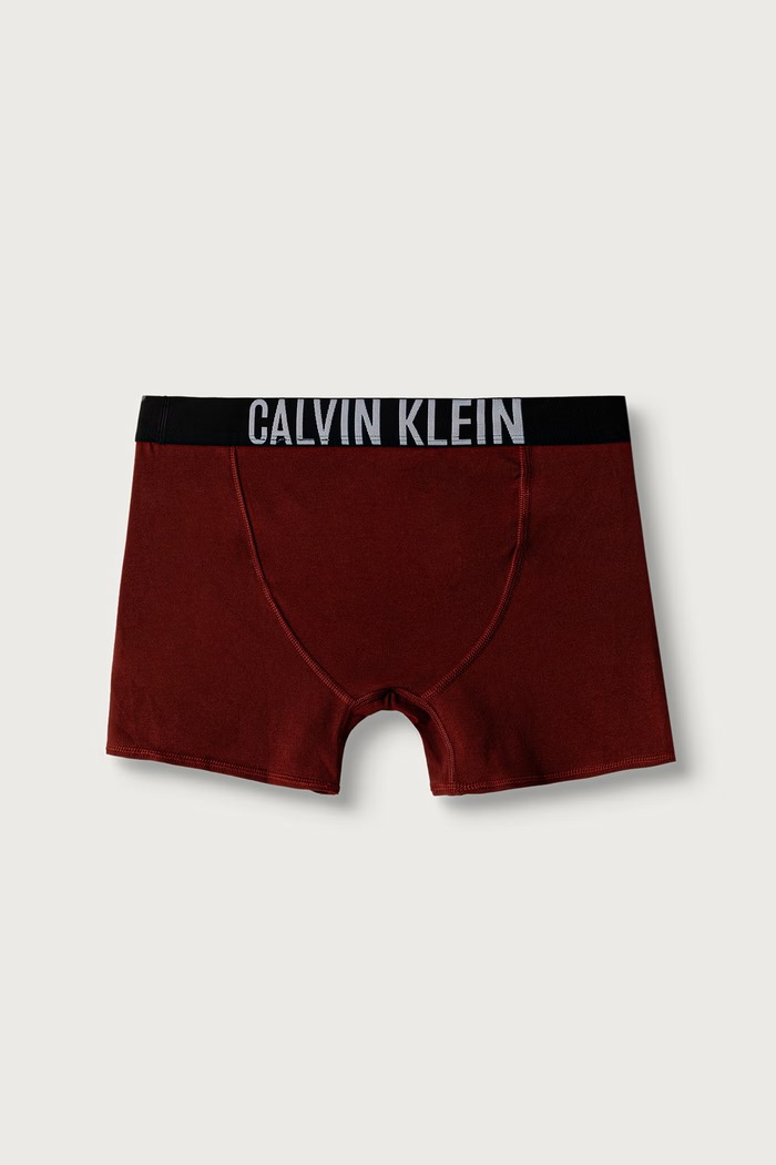 Calvin Klein Underwear Bokserki dopasowane dziecięce bawełniane z elastanem 3-pack B70B700510.9BY2