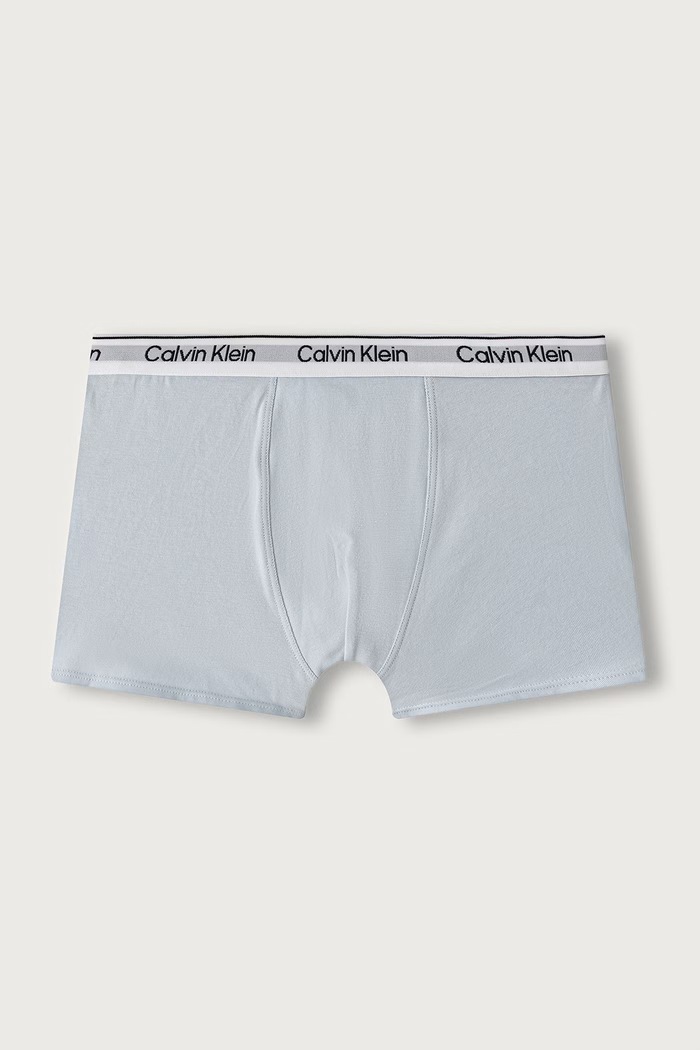Chłopiec Calvin Klein Underwear Bokserki dopasowane dziecięce bawełniane z elastanem 3-pack B70B700507.9BY2 szary