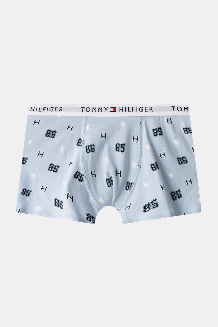 Chłopiec Tommy Hilfiger Bokserki dziecięce z bawełną 2-pack UB0UB00605.9BY2 niebieski