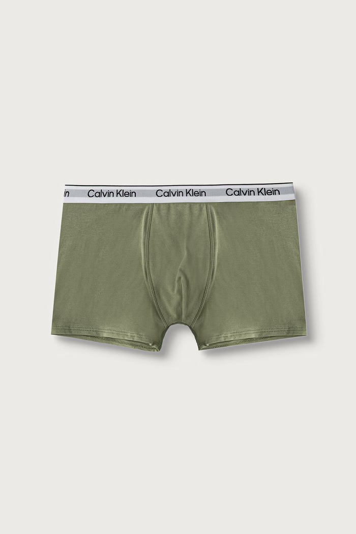 Chłopiec Calvin Klein Underwear Bokserki dopasowane dziecięce bawełniane z elastanem 2-pack B70B700506.9BY2 zielony