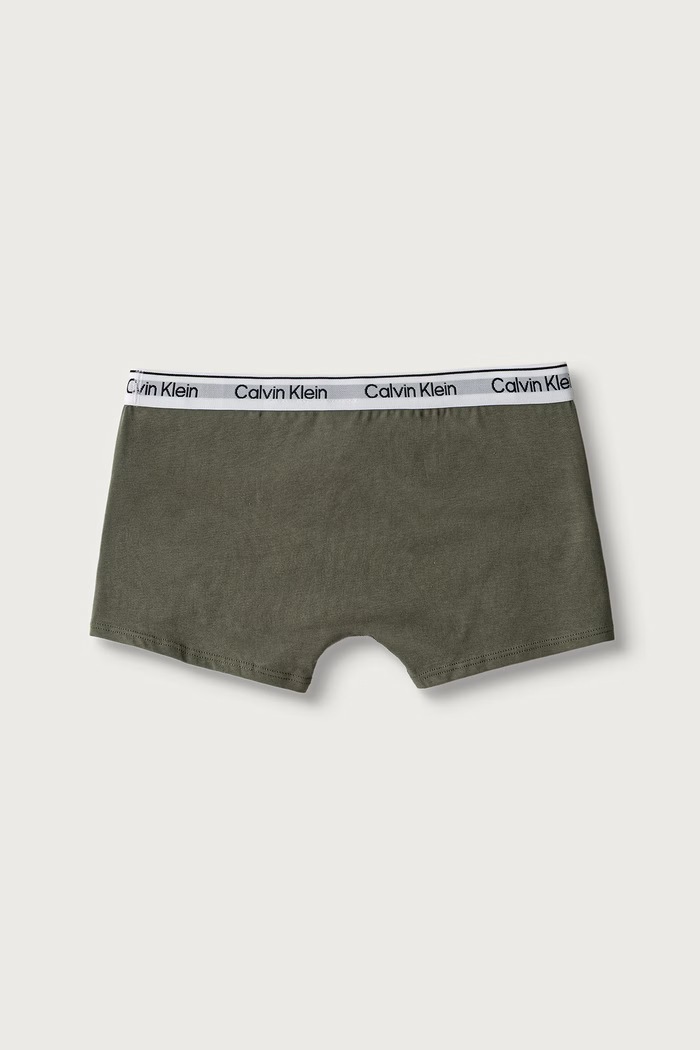 Bokserki dopasowane dziecięce bawełniane z elastanem 2-pack Calvin Klein Underwear B70B700506.9BY2 zielony