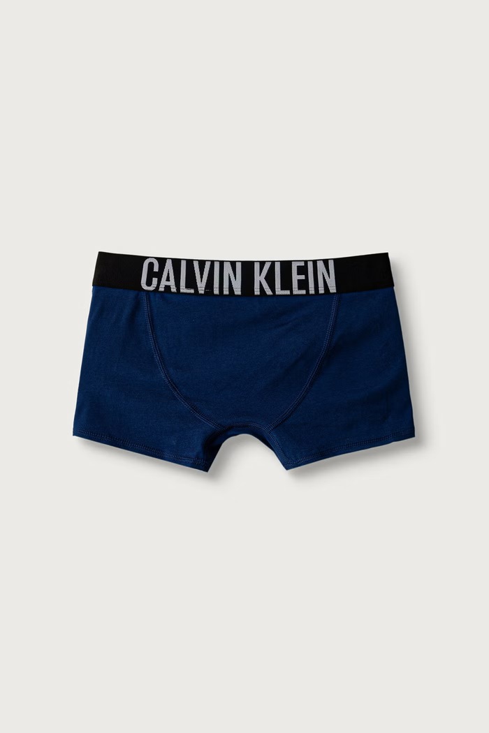 Calvin Klein Underwear Bokserki dopasowane dziecięce bawełniane z elastanem 2-pack B70B700509.9BY2 niebieski AW26