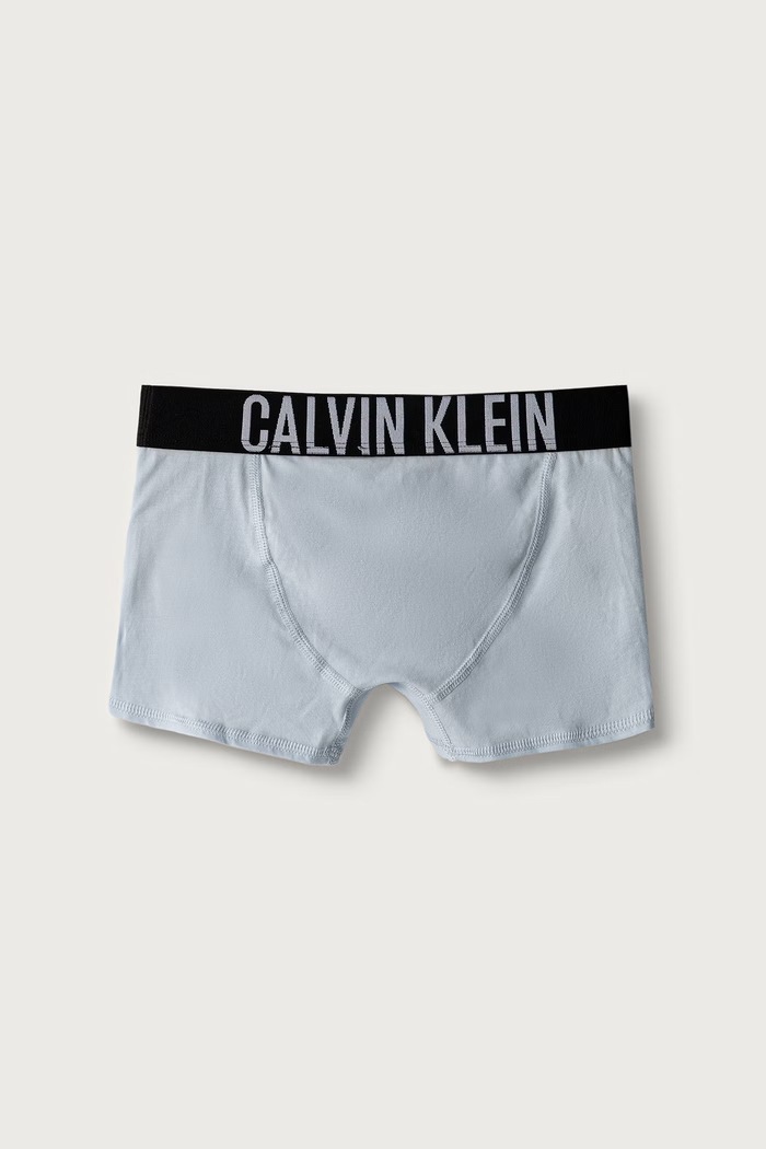 Chłopiec Calvin Klein Underwear Bokserki dopasowane dziecięce bawełniane z elastanem 2-pack B70B700509.9BY2 niebieski