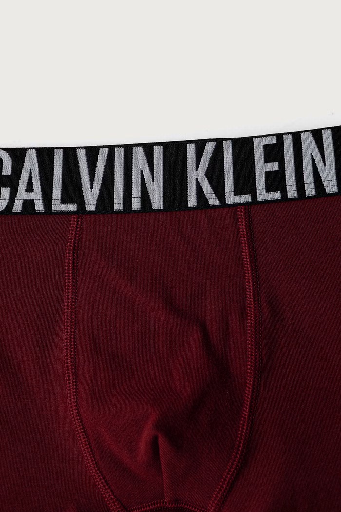 Boxer aderenti per bambini in cotone con elastan pacco da 2 Calvin Klein Underwear granata B70B700509.9BY2