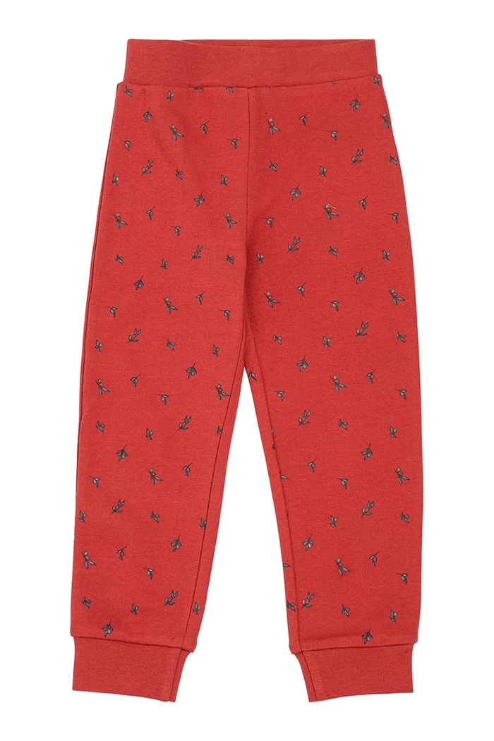 Piżama dwuczęściowa dziecięca z bawełną x Kenza Viking Kids 50.26760 czerwony