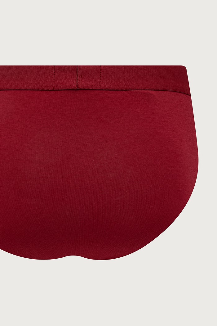 Slipy męskie bawełniane z elastanem 2-pack Emporio Armani Underwear EM000251.AF25038 czarny