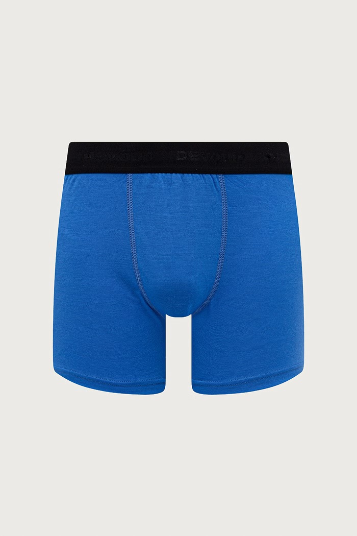 Odzież Devold Bokserki męskie z wełny merino Breeze 2-pack PDGO.180.790.B niebieski