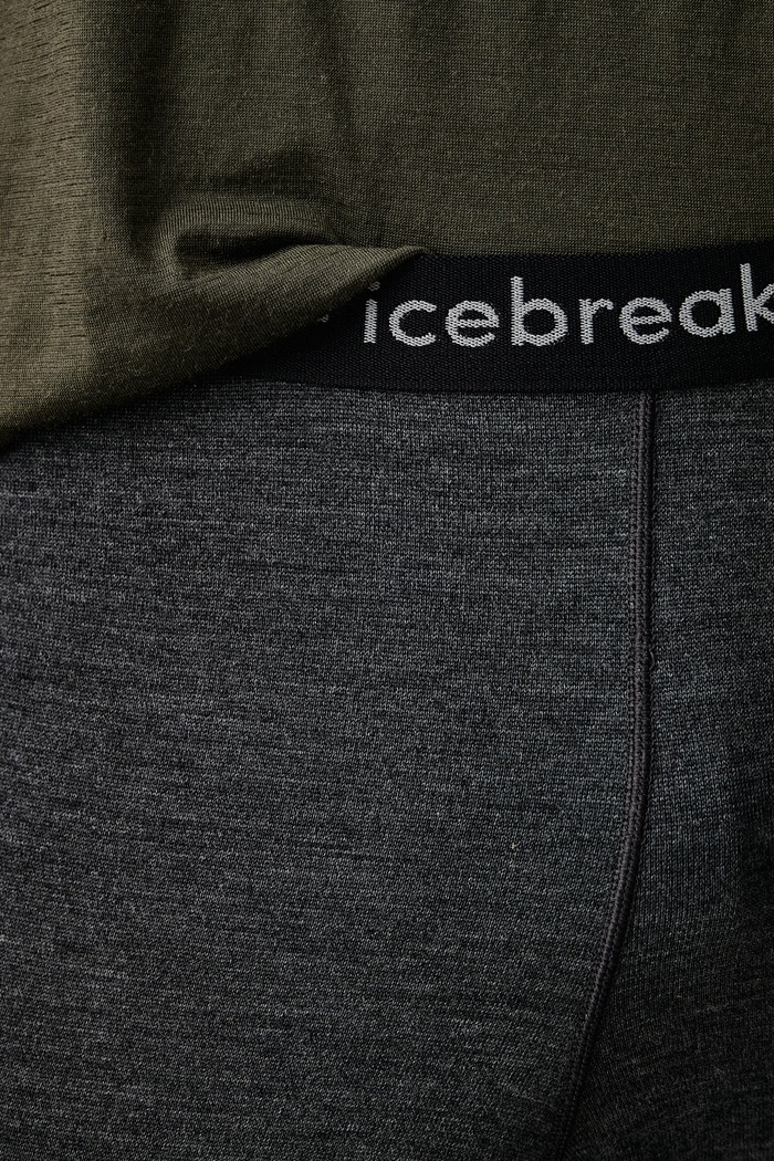 Legginsy funkcyjne męskie wełniane ZoneKnit 260 Icebreaker IB0A56HG0111 szary
