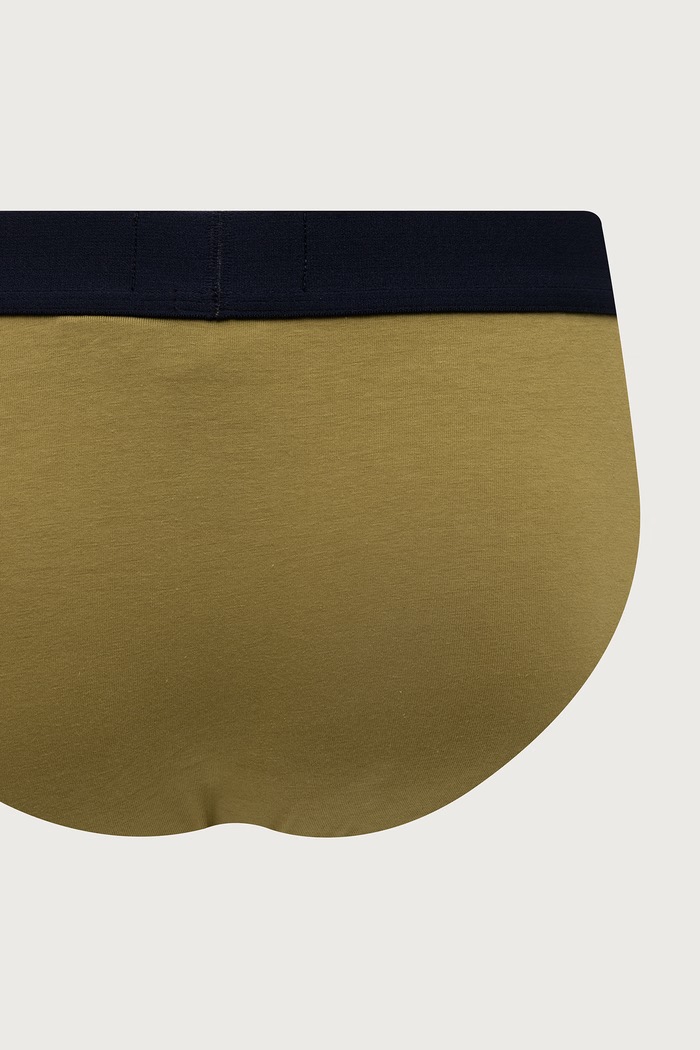 Emporio Armani Underwear slipy pánské bavlněné s elastanem 2-pack EM000251.AF25017 zelená