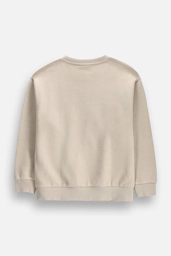Coccodrillo μπλούζα παιδική με βαμβάκι ZC6132101RBJ γκρί AW26