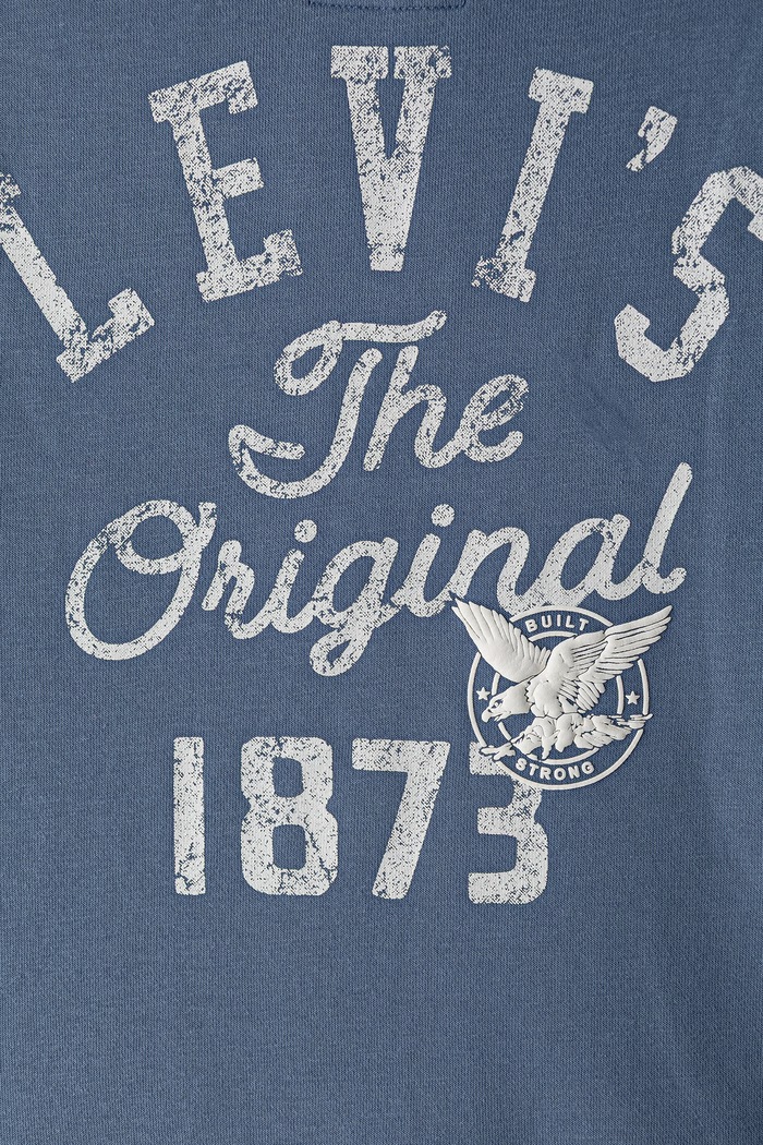 Levi's mikina s kapucňou detská s bavlnou THE ORIGINAL VINTAGE HOODI modrá 9ER563