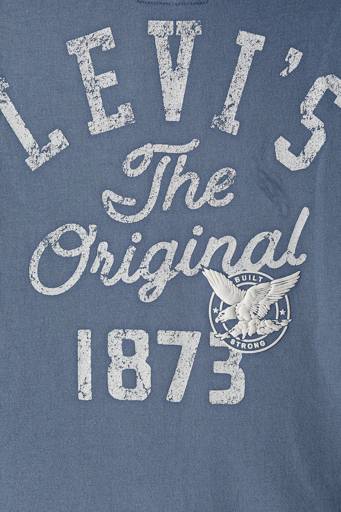 Levi's mikina s kapucňou detská s bavlnou THE ORIGINAL VINTAGE HOODI modrá 9ER563