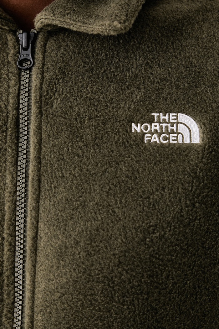 Μπλούζα fleece γυναικεία The North Face πράσινο NF0A8J6KJNS1
