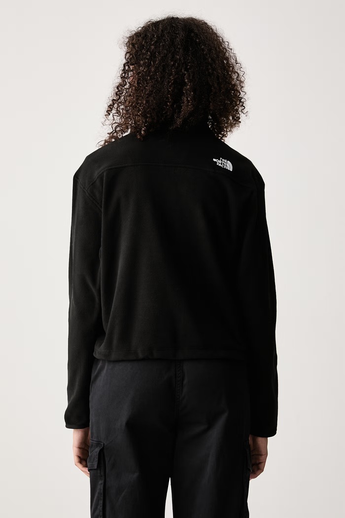 Ρούχα The North Face Μπλούζα fleece γυναικεία Novelty NF0A8J3ZJK31 μαύρο
