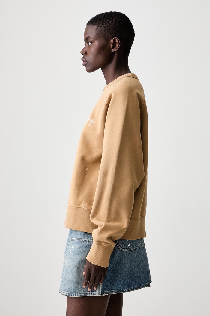 Carhartt WIP W Painter bluza z kapturem bawełniana damska brązowy I036843
