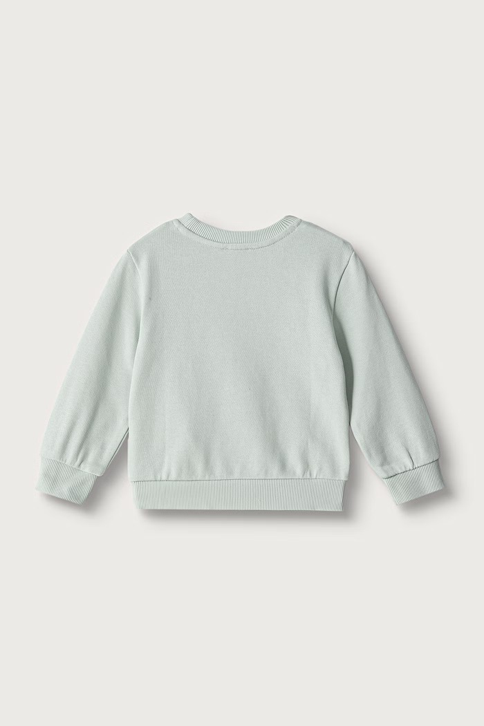 United Colors of Benetton Bluza dziecięca bawełniana 3J70G10NG.P.Seasonal zielony AW26