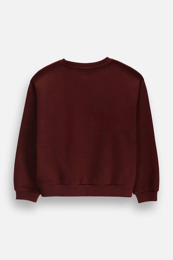 Coccodrillo Mikina dětská bavlněná ZC6132102FGJ burgundské AW26