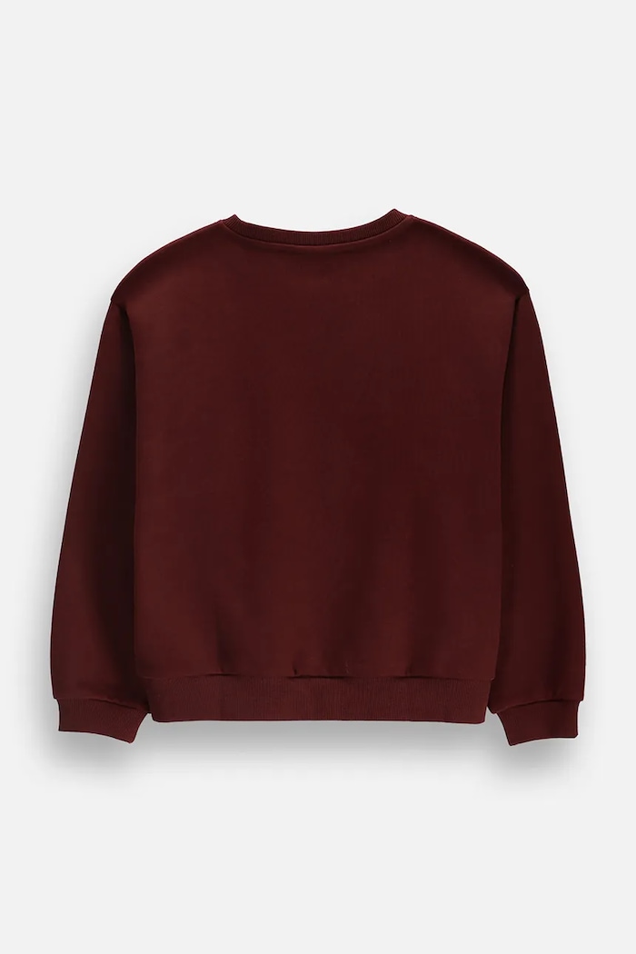 Coccodrillo Mikina dětská bavlněná ZC6132102FGJ burgundské AW26