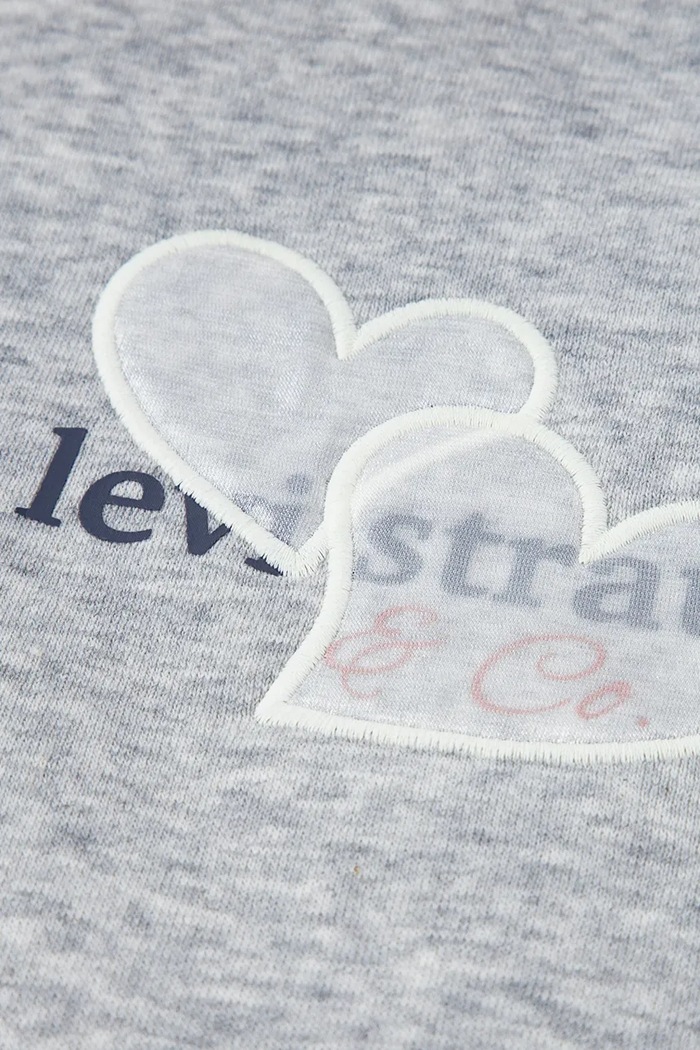 Dziewczynka Levi's bluza z kapturem dziecięca z bawełną MEET AND GREET BUBBLE HOOD 4ER420 szary