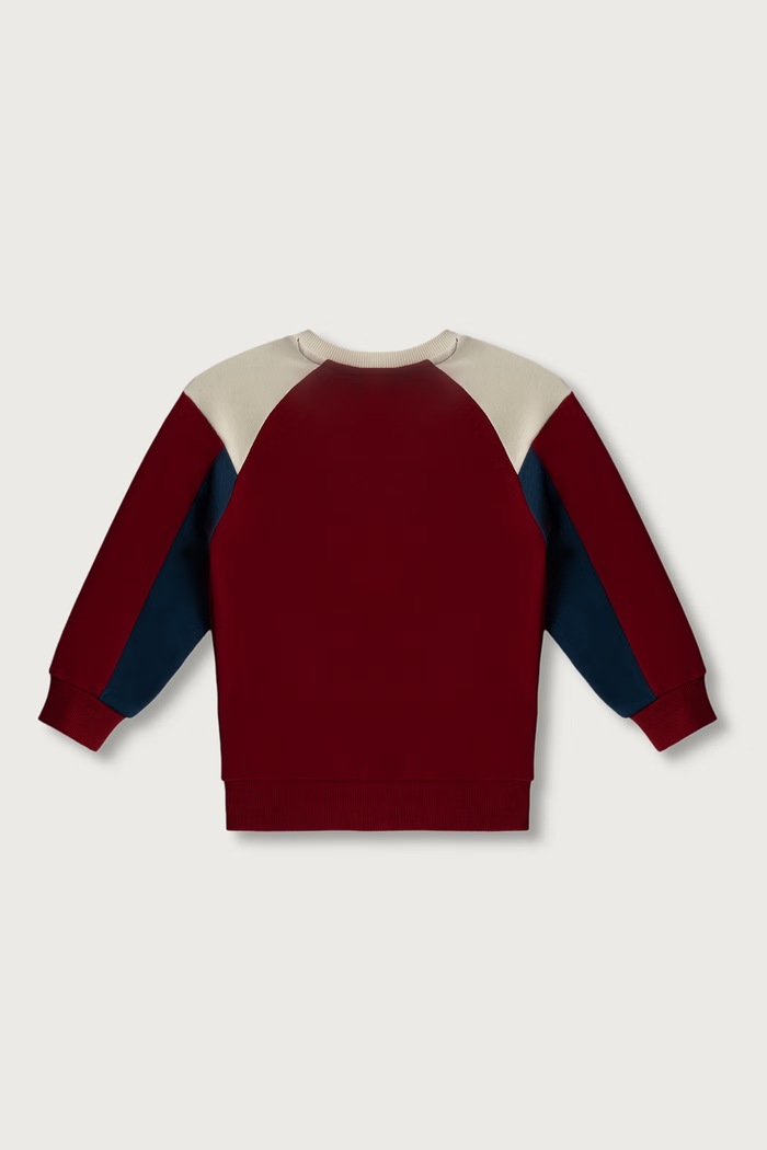 United Colors of Benetton Bluza dziecięca bawełniana 3J70G10NM.P.Seasonal bordowy AW26