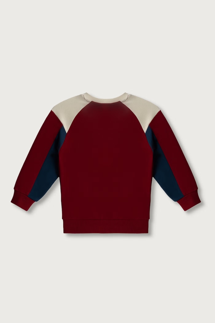 United Colors of Benetton Bluza dziecięca bawełniana 3J70G10NM.P.Seasonal bordowy AW26