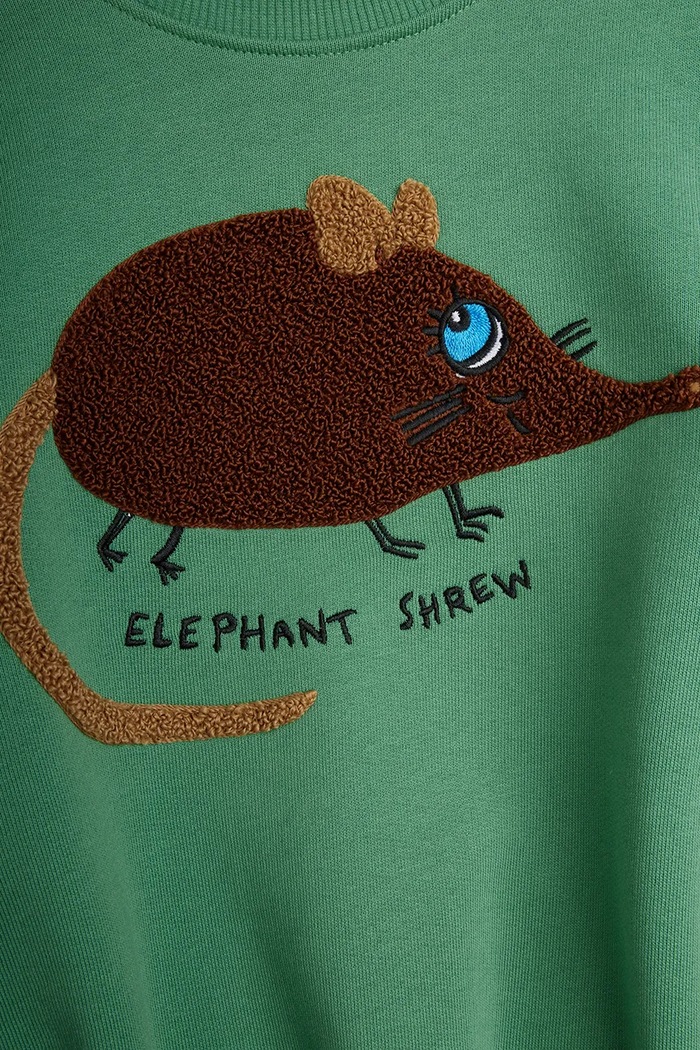 Bluza dziecięca bawełniana Elephant Mini Rodini 26720132 zielony