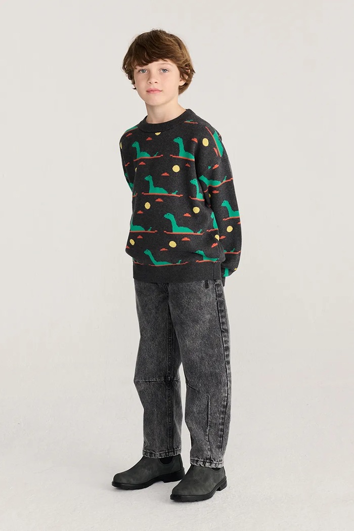 Bobo Choses pulover za djecu od pamuka Lake Monster siva 226AC087