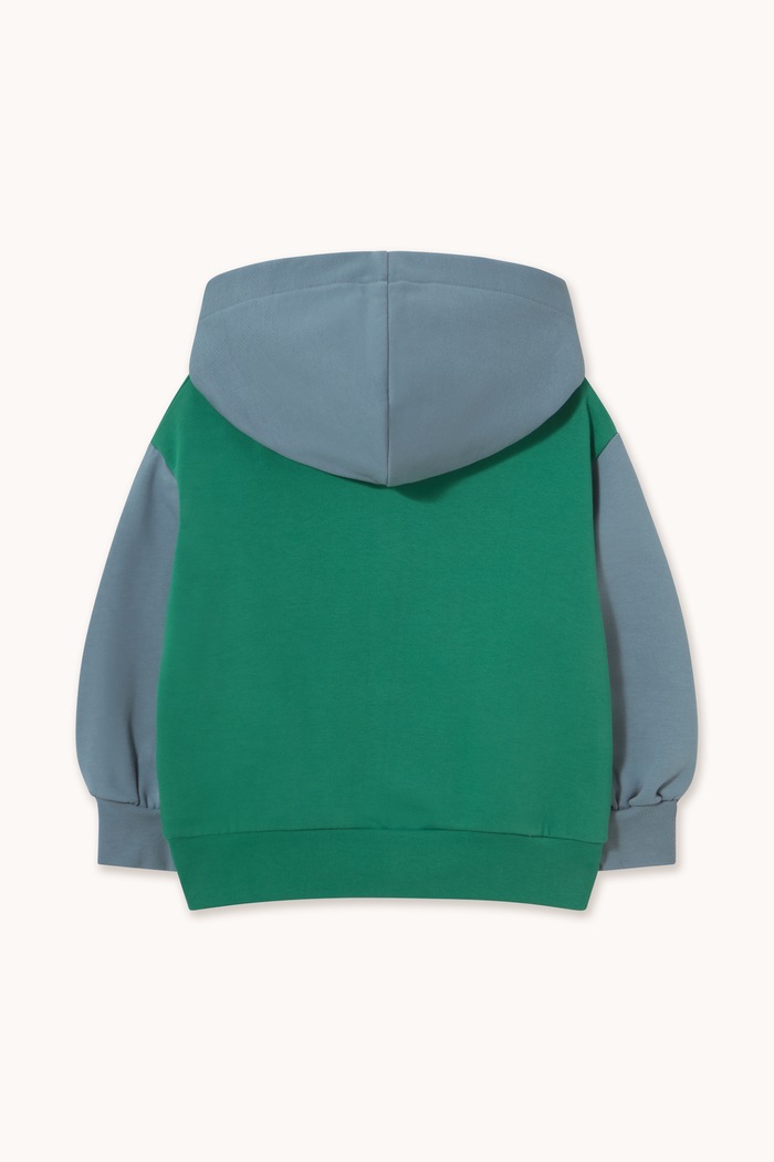 Tinycottons Bluza z kapturem dziecięca bawełniana CURLY DOG COLOR BLOCK HOODIE AW26.443 zielony AW26