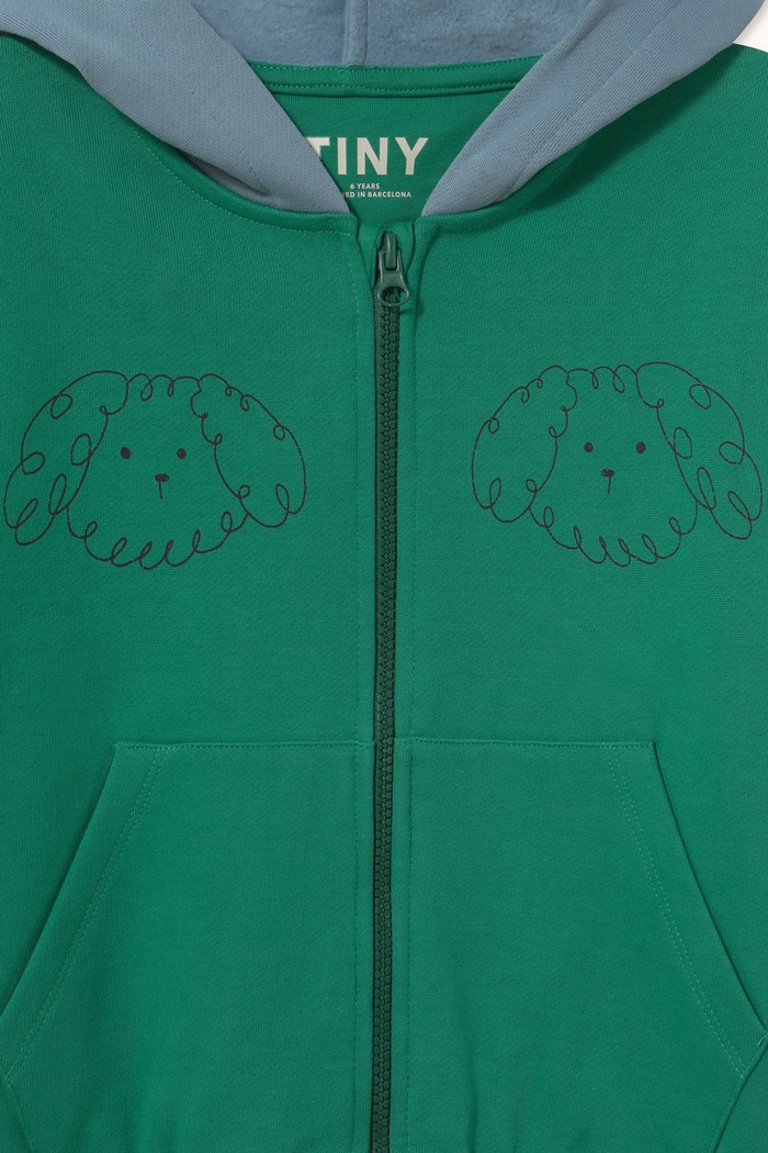 Chłopiec Tinycottons Bluza z kapturem dziecięca bawełniana CURLY DOG COLOR BLOCK HOODIE AW26.443 zielony