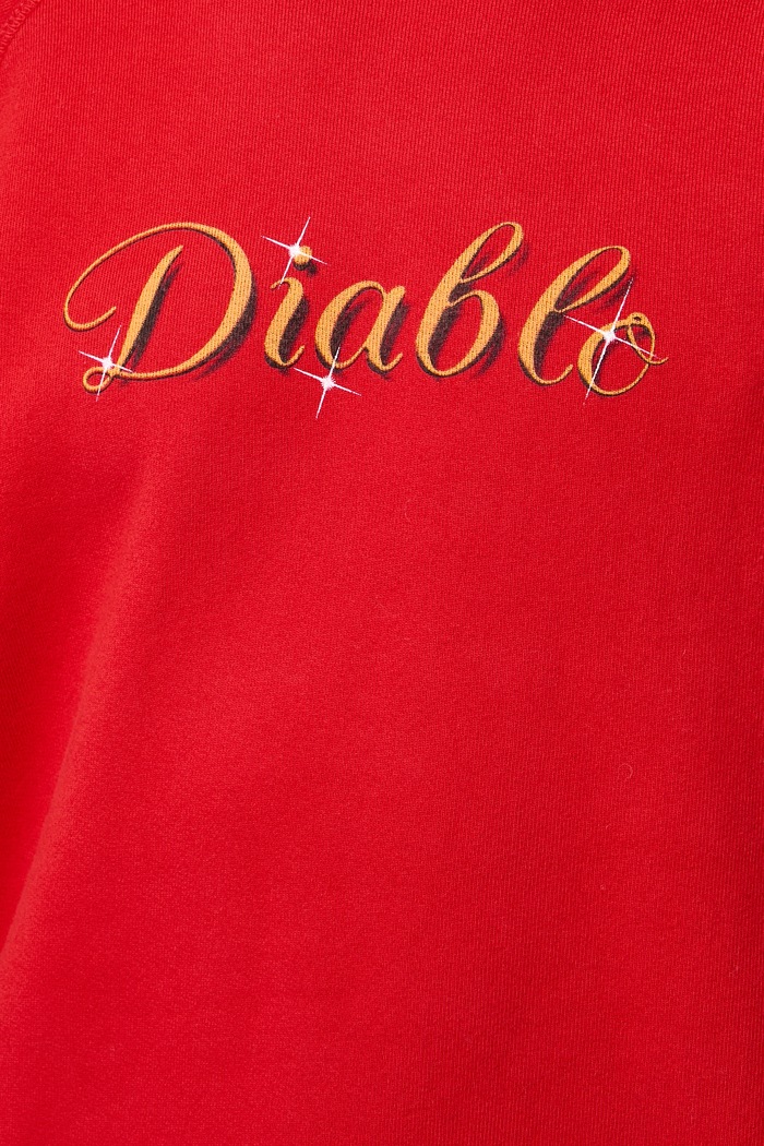 DIABLO RAGLAN STANDARD кофта из хлопка для мужчин Willy Chavarria красный MUJSW021.064N