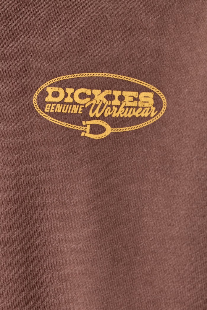 Dickies Bluza z kapturem męska z bawełną DK0A8CHX0TB1