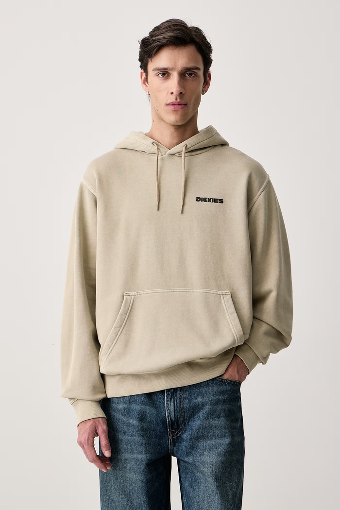Odzież Dickies Bluza z kapturem męska z bawełną DK0A8CHWDS01 beżowy