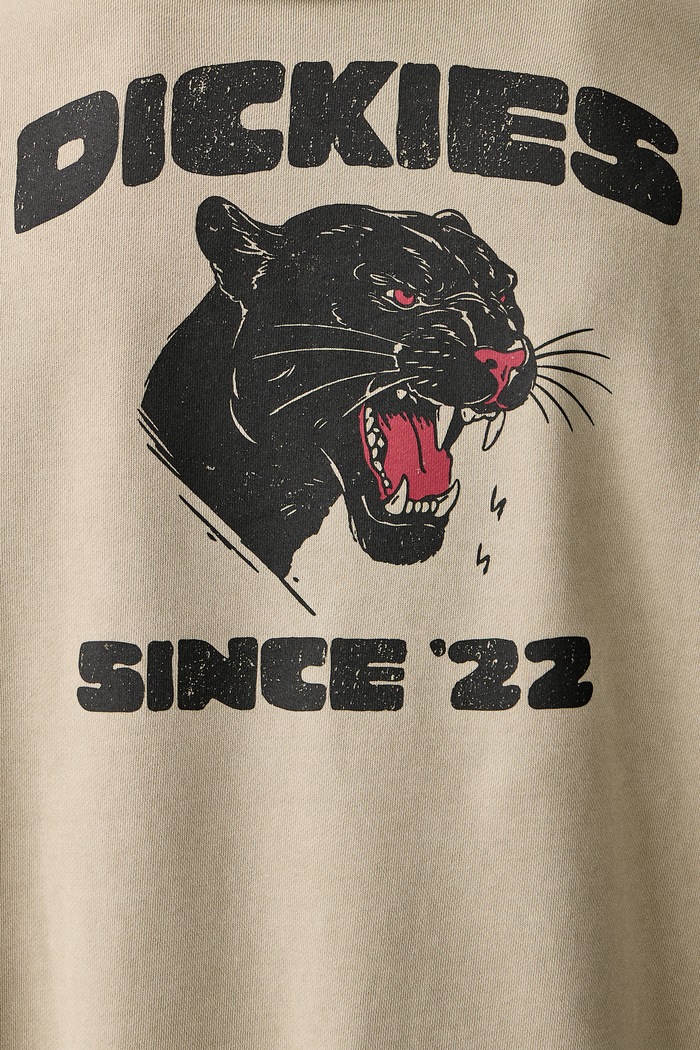 Dickies Bluza z kapturem męska z bawełną DK0A8CHWDS01